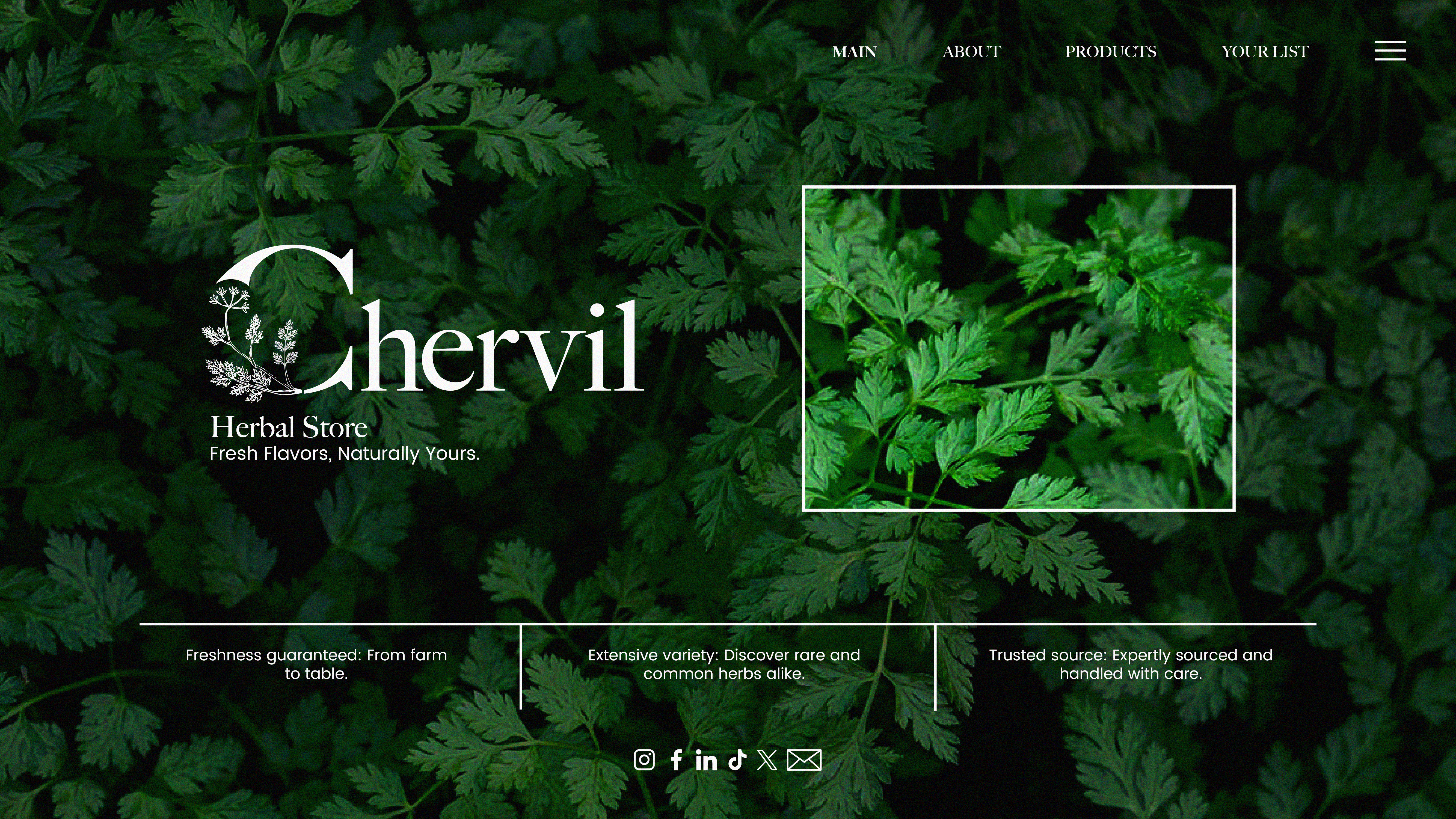 chervil store